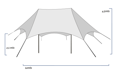Carpa 12x6m